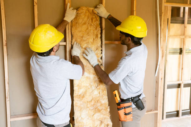 Best Insulation Removal Services  in Perry, FL